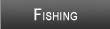 Lake Sidney Lanier Fishing